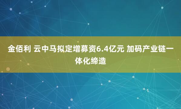 金佰利 云中马拟定增募资6.4亿元 加码产业链一体化缔造