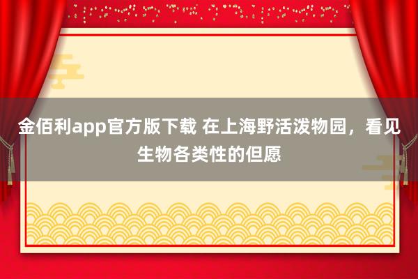金佰利app官方版下载 在上海野活泼物园，看见生物各类性的但愿