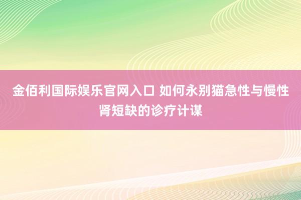 金佰利国际娱乐官网入口 如何永别猫急性与慢性肾短缺的诊疗计谋