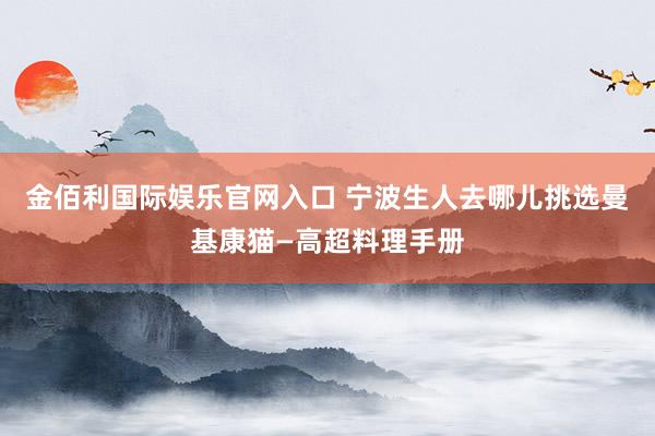 金佰利国际娱乐官网入口 宁波生人去哪儿挑选曼基康猫—高超料理手册