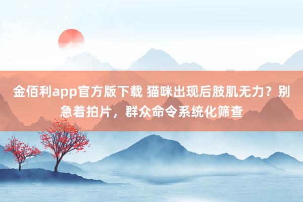 金佰利app官方版下载 猫咪出现后肢肌无力？别急着拍片，群众命令系统化筛查