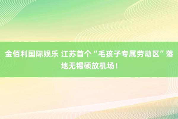 金佰利国际娱乐 江苏首个“毛孩子专属劳动区”落地无锡硕放机场！
