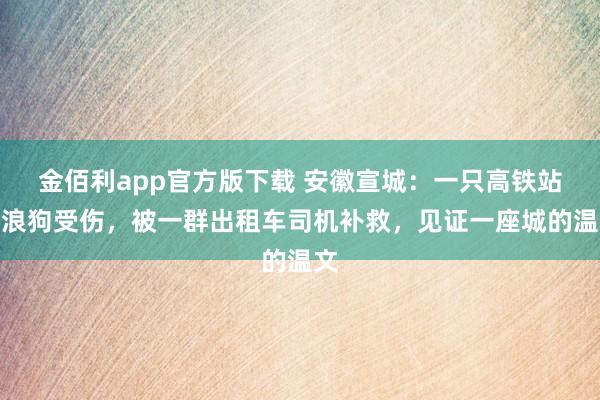金佰利app官方版下载 安徽宣城：一只高铁站流浪狗受伤，被一群出租车司机补救，见证一座城的温文