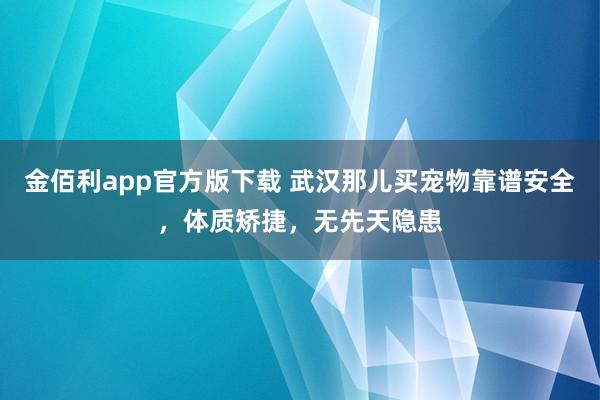 金佰利app官方版下载 武汉那儿买宠物靠谱安全，体质矫捷，无先天隐患