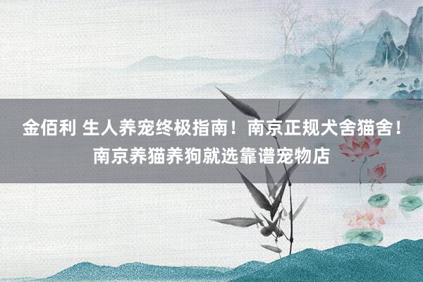 金佰利 生人养宠终极指南！南京正规犬舍猫舍！南京养猫养狗就选靠谱宠物店