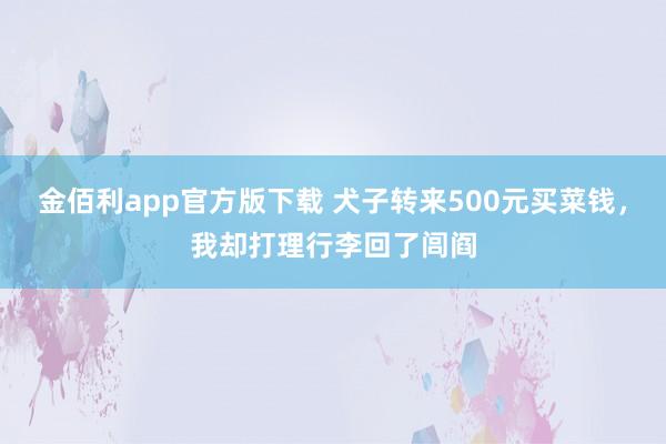 金佰利app官方版下载 犬子转来500元买菜钱，我却打理行李回了闾阎