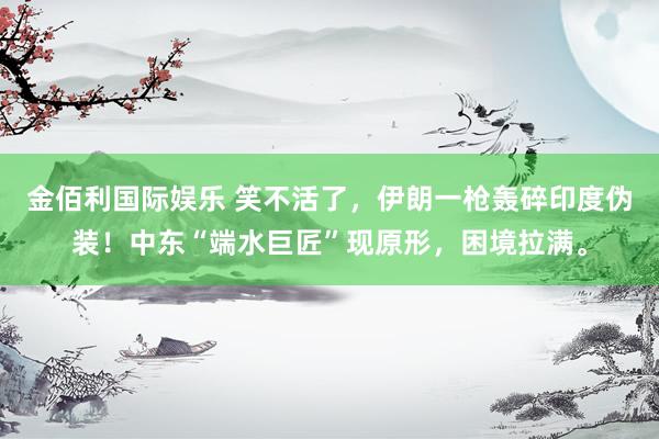 金佰利国际娱乐 笑不活了，伊朗一枪轰碎印度伪装！中东“端水巨匠”现原形，困境拉满。