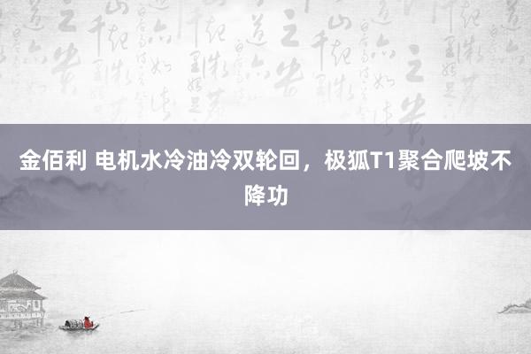 金佰利 电机水冷油冷双轮回，极狐T1聚合爬坡不降功