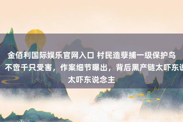 金佰利国际娱乐官网入口 村民造孽捕一级保护鸟后续：不啻千只受害，作案细节曝出，背后黑产链太吓东说念主