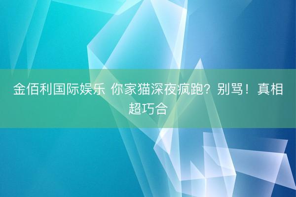 金佰利国际娱乐 你家猫深夜疯跑？别骂！真相超巧合
