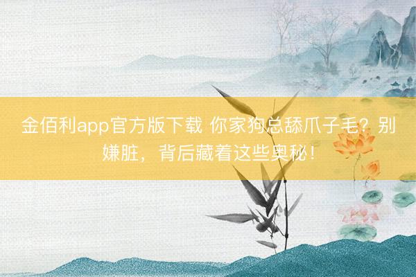 金佰利app官方版下载 你家狗总舔爪子毛？别嫌脏，背后藏着这些奥秘！